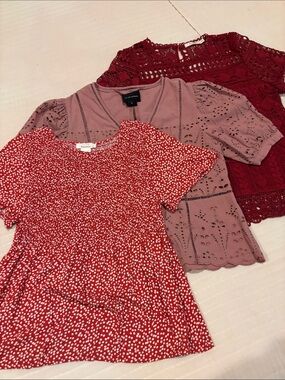 Three-Pack Short Sleeve Tops in Red, Mauve, Burgundy